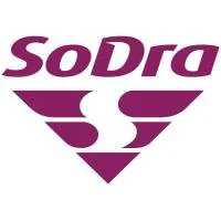 Valstybinio socialinio draudimo fondo valdyba prie Socialinės apsaugos ir darbo ministerijos