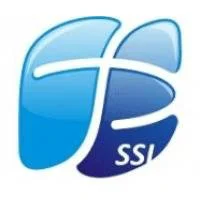 Strateginės savivaldos institutas, VŠĮ