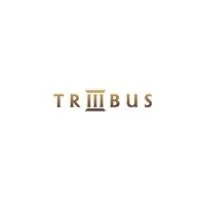 Tribus, UAB