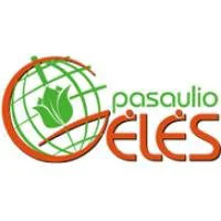 VAIDRENA, UAB | spec.lt