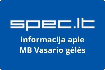 Vasario gėlės, MB | spec.lt