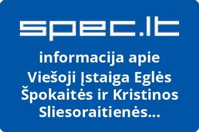 Kristinos Sliesoraitienės projektai, VŠĮ