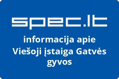 Gatvės gyvos, VŠĮ