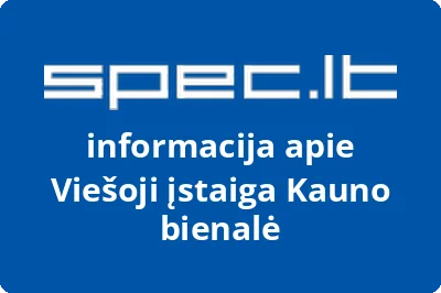 Kauno bienalė, VŠĮ