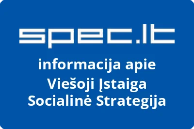 Socialinė strategija, VŠĮ