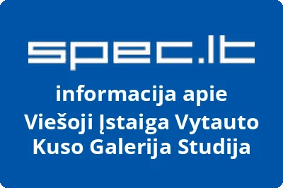 Vytauto Kuso galerija studija, VŠĮ