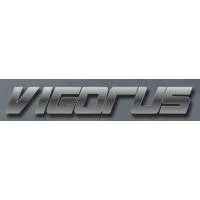 Vigorus, UAB