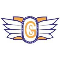 Vilniaus Salininkų gimnazija