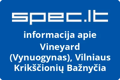 Vineyard (Vynuogynas), Vilniaus Krikščionių Bažnyčia