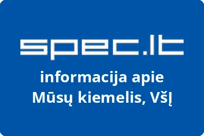 Mūsų kiemelis, VŠĮ