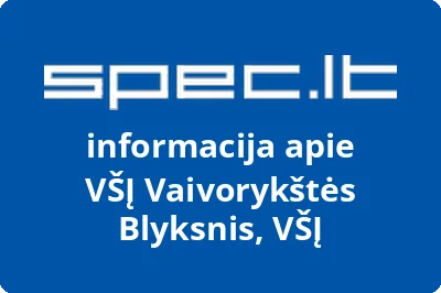 Vaivorykštės Blyksnis, VŠĮ, VŠĮ