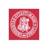 Vytauto Didžiojo universitetas