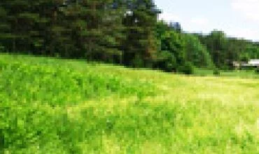 20 kartų išaugo nuosavybės teisių į žemę atkūrimas Vilniaus rajone