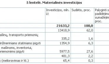2008-ieji – lėtesnio statybos sektoriaus augimo metai