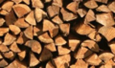 60 proc. medienos linksta parduoti ilgalaikėmis sutartimis