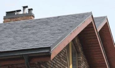 Amžiais Europos statybose naudotas skalūnas populiarėja ir Lietuvoje