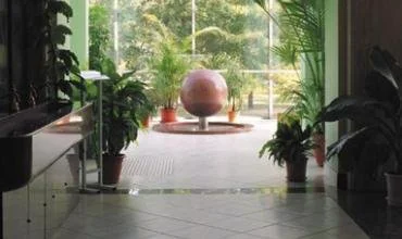 Akmuo – ypatinga gamtos dovana