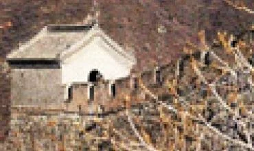 Aplink kaimą pasistatė „Didžiąją sieną“