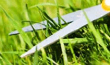 Aplinką prižiūrinčios bendrovės: klientų – beveik kaip prieš krizę