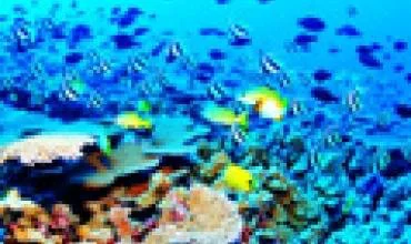 Australija kuria didžiausią jūrų rezervatą