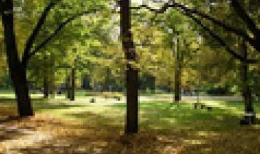 Bernardinų sode archeologai aptiko viduramžių Vilniaus kvartalą