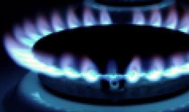 Biokuro birža ateityje galėtų mažinti kainas