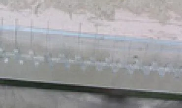 „BirdSystem“ ieško platintojų Lietuvoje