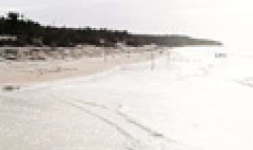 Bus stiprinamas Baltijos jūros aplinkos apsaugos valdymas