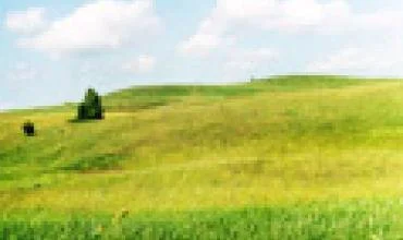 Centralizuotas turto valdymas – efektyvesnis