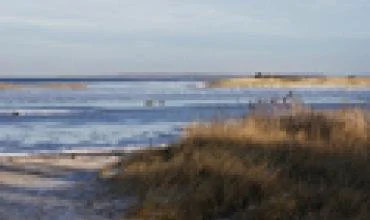 Dėl Baltijos jūros labiausiai stengiasi Vokietija ir Švedija, Lietuva stipriai atsilieka