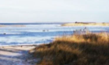 Didžiausių Baltijos teršėjų sąraše likusi Lietuvos įmonė vis daugiau investuoja į aplinkosaugą