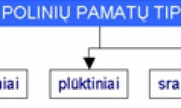 Efektyvių polinių pamatų įrengimo modeliavimas