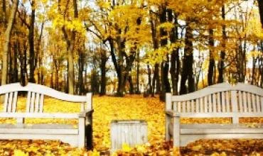 Ekspertų taryboje – dviejų miesto parkų ateitis