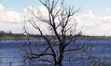 Energetikai įspėja apie pavojus, tykančius potvynių metu