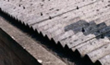 ES paramos stogams teks palūkėti