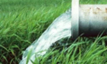 Gamybinių nuotekų chemikalai kaupiasi gamtoje