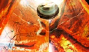 Gintarinis Lietuvos paviljonas laukia lankytojų