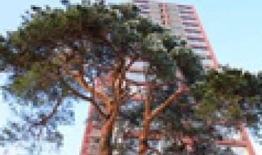 Gyvenamiesiems kvartalams - nauji planai