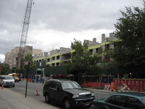 „Kalahari“ projektas − Harlemo renesansas