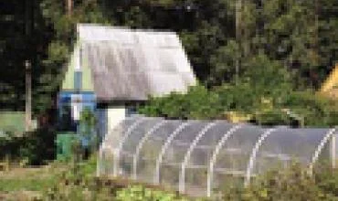 Kolektyvinių sodų kaita