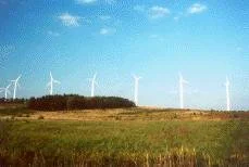 Kretingos rajone atidarytas didžiausias Baltijos šalyse vėjo elektrinių parkas