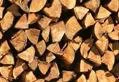 Medis interjere: jaukumas, funkcionalumas ir originalumas viename