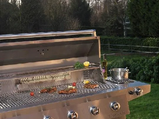 Profesionalius lauko grilius „Electrolux“ pritaikė namų vartojimui