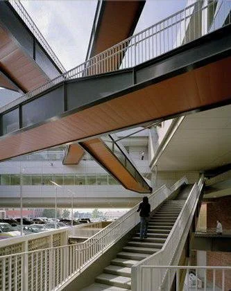 Rafaelio Vinoly „Molekulinės jungtys“