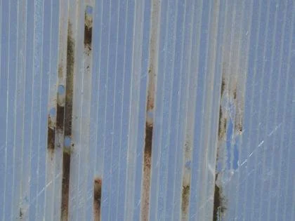 Saugus prieglobstis augalams – tik kokybiškame šiltnamyje