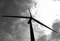 Seimas pradėjo svarstyti Atsinaujinančių išteklių energetikos įstatymo projektą