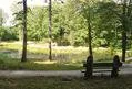 Siekia atgaivinti Mažojo Tauralaukio parką
