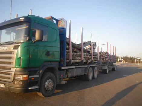 Šildymą atpigintų ir didesnis gabenamos medienos svoris