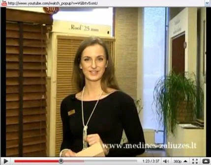 Šiuolaikinis gyvenimo tempas diktuoja savitas informacijos pateikimo formos madas