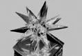 Visuomenė rinks geriausius darnios plėtros projektus